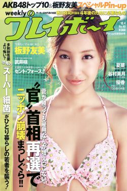 他似火(军婚高干婚恋)全文